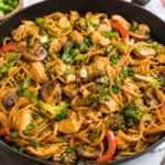 Stir Fry Noodles 1